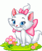 Аватар для KittyCat